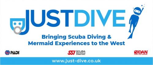 JUST DIVE IN CIC