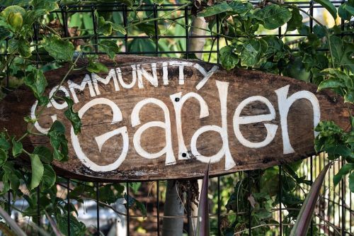 Linwood Community Gardens